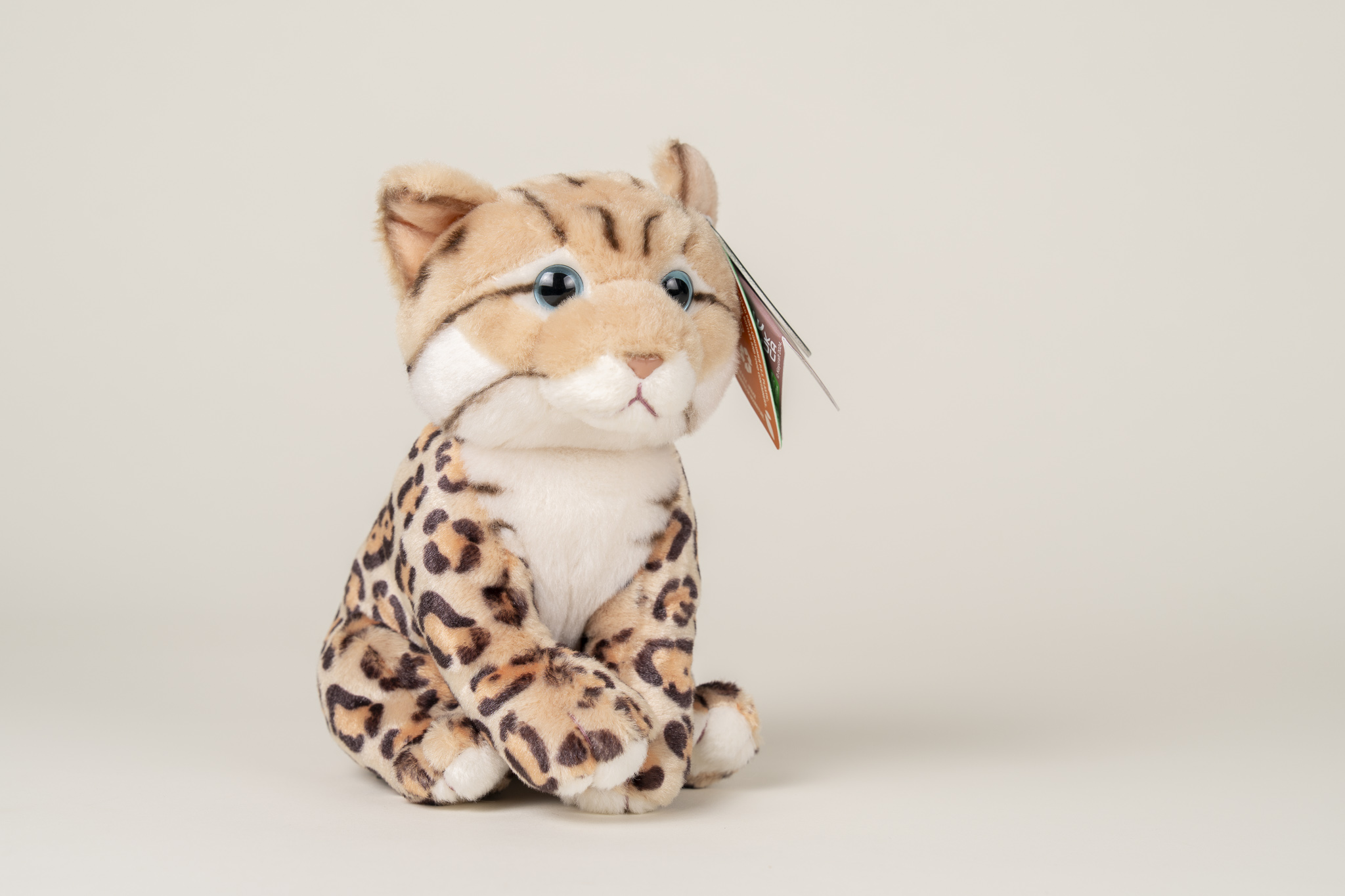 bengalen kitten knuffel van Living nature steun Stichting Scheldekat