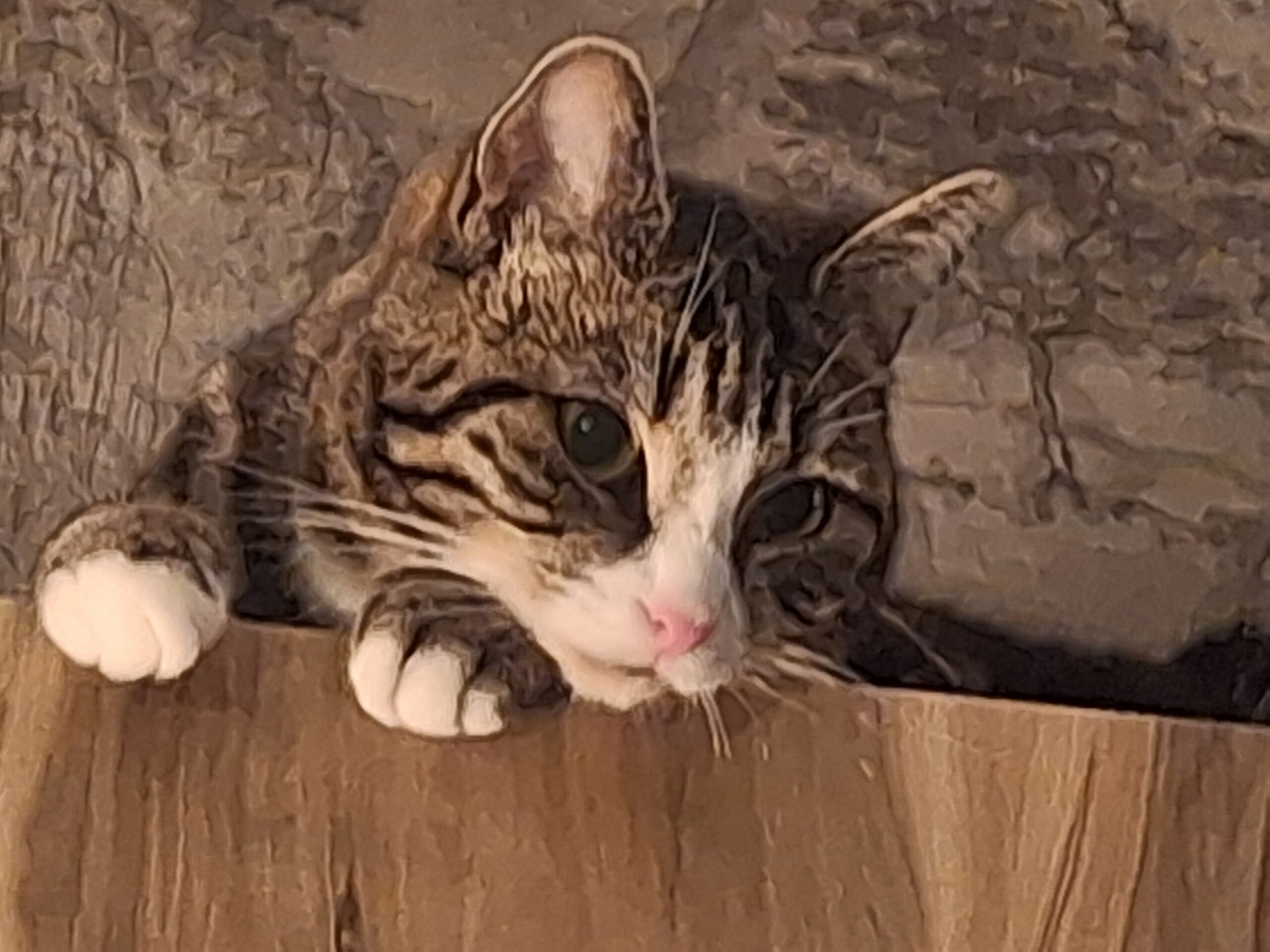 Blitzy Moxie (5)
