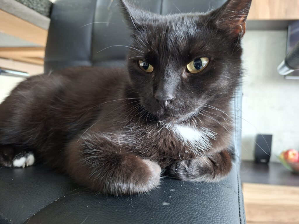 Jet